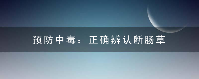 预防中毒：正确辨认断肠草 断肠草中毒急救措施